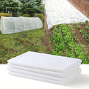 Manta antiheladas para jardín | 160cm x 10m