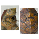 Tortuga con caña de pescar | Estatua de resina linda para jardín