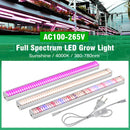 Tubo LED espectro completo 4000K/púrpura