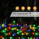 Guirnalda LED 50m/100m | 110V/220V | Exterior Navidad y Bodas