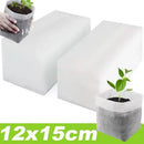 Bolsa de vivero biodegradable 100/500uds