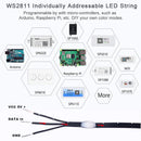 Luces LED WS2811/2812 5V RGBIC | 3PIN cable negro direccionable