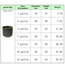 Bolsas de cultivo no tejidas | 1 a 12 galones con asas