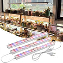 Tubo LED espectro completo 4000K/púrpura