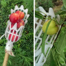 Recolector de frutas de altura | Plástico PP | Para níspero y bayberry