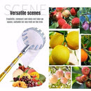 Recolector de Frutas Ajustable