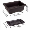 Maceta rectangular imitación arcilla púrpura | Bonsái + suculentas