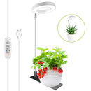 uz de cultivo LED anillo espectro completo | Timer 3/6/12H