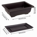 Maceta rectangular imitación arcilla púrpura | Bonsái + suculentas