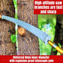 Recolector de Frutas Ajustable