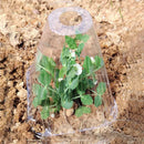 Cubierta protectora para plántulas | Mini invernadero portátil para jardín