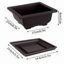 Maceta rectangular imitación arcilla púrpura | Bonsái + suculentas