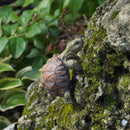 Tortuguitas de resina | Set 1 o 2 piezas para jardín o pecera