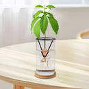 Soporte triangular para aguacate | 4 piezas