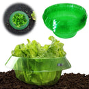 Collares anticaracol 5-30uds) | Protector para macetas