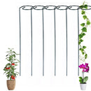 Poste espiral soporte plantas 6uds | Metal para enredaderas y jardín
