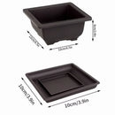 Maceta rectangular imitación arcilla púrpura | Bonsái + suculentas