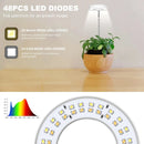 uz de cultivo LED anillo espectro completo | Timer 3/6/12H