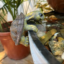 Tortuguitas de resina | Set 1 o 2 piezas para jardín o pecera