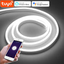 Luz neón LED WiFi inteligente | Tira para armario