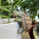 Tortuguitas de resina | Set 1 o 2 piezas para jardín o pecera