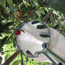 Recogedor de frutas de metal | Bolsa de tela