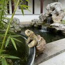 Tortuguitas de resina | Set 1 o 2 piezas para jardín o pecera
