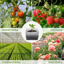 Bolsa de vivero biodegradable 100/500uds