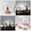 Cubierta de Vidrio Transparente HILDAR para Flores y Decoración