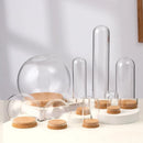 Cubierta de Vidrio Transparente HILDAR para Flores y Decoración