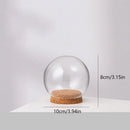 Cubierta de Vidrio Transparente HILDAR para Flores y Decoración