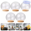 Cubierta de Vidrio Transparente HILDAR para Flores y Decoración